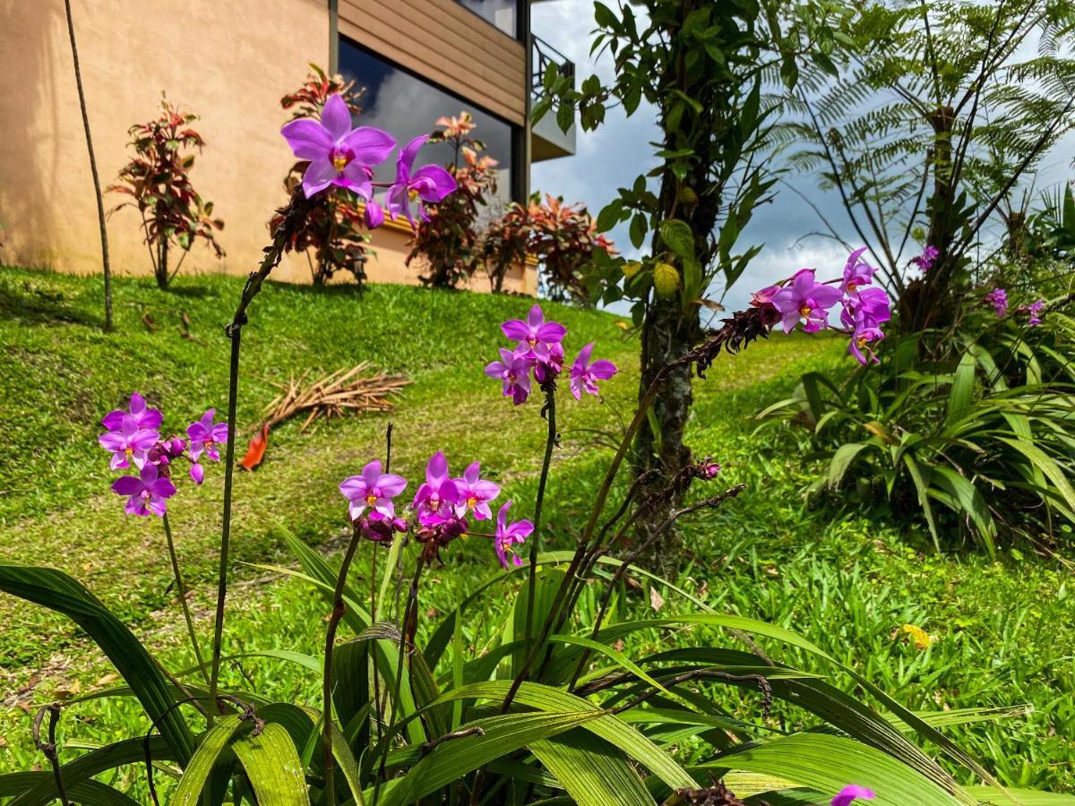 Retiro Del Lago Arenal Lodge El Castillo 외부 사진