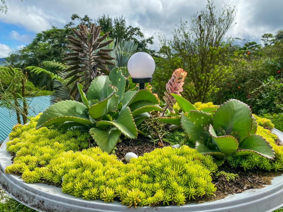 Retiro Del Lago Arenal Lodge El Castillo 외부 사진